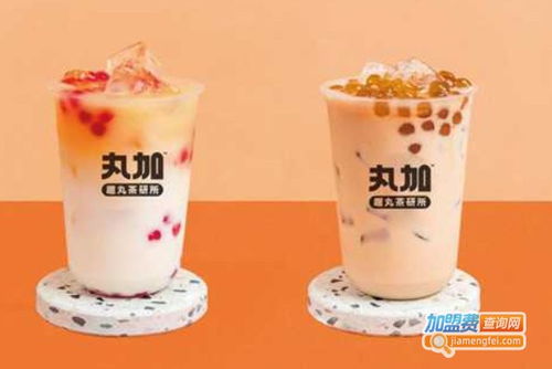 丸加奶茶加盟費(fèi)用詳情 總投資8.98萬元，加盟費(fèi)可通過官方渠道查詢